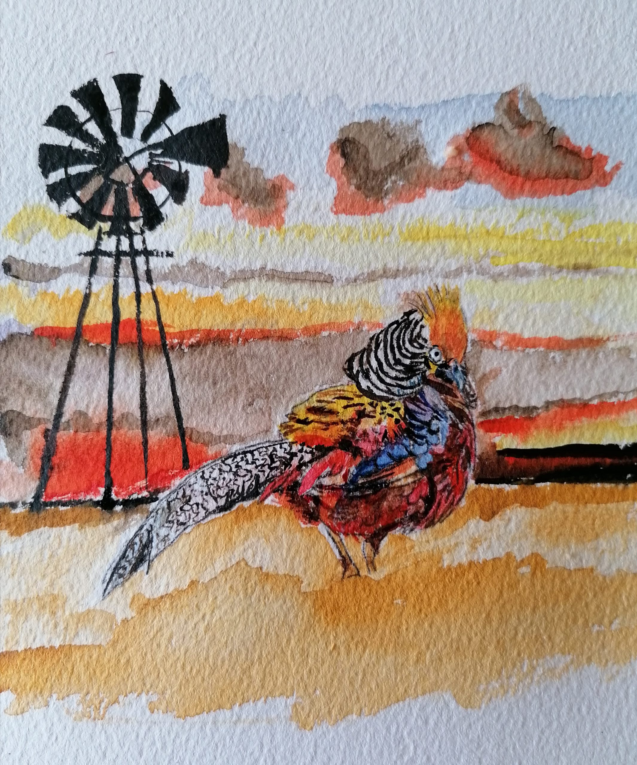 Vertelling: I’ll fly with you – Isabelle Plomteux