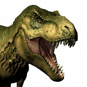 https://www.publicdomainpictures.net/nl/view-image.php?image=291901&picture=bruin-t-rex