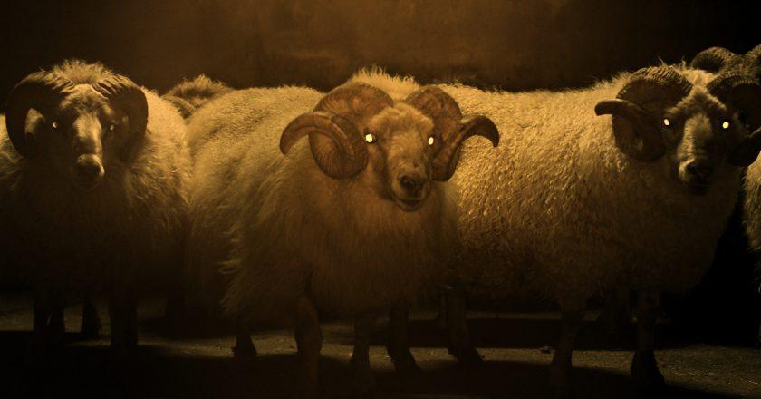 Filmrecensie: Lamb