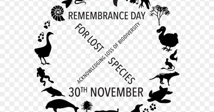 Armistice Day