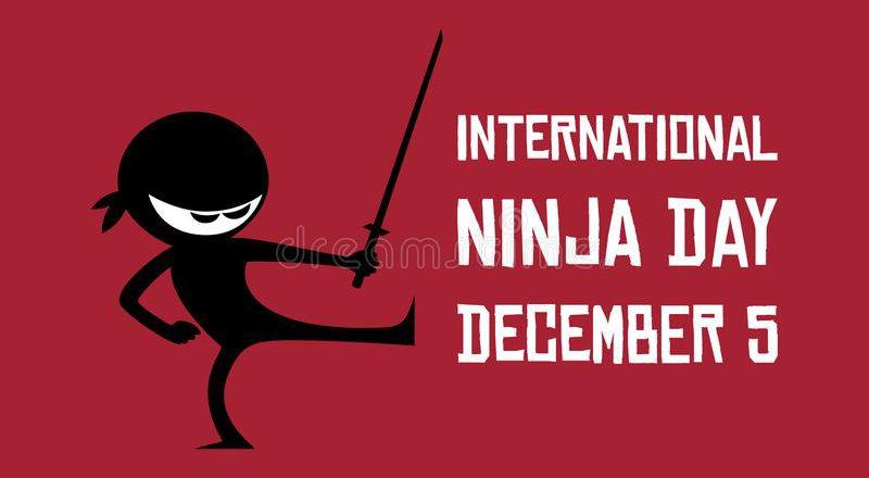International Ninja Day