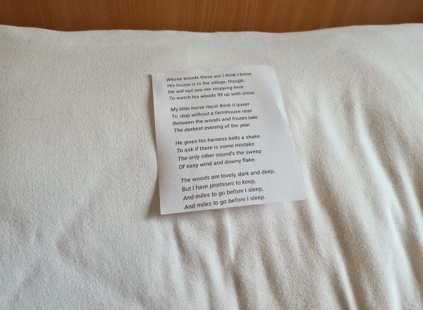 Poem on Your Pillow Day